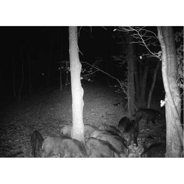 CAMERA DE VANATOARE 4G CU TRANSMISIE FOTO SI VIDEO