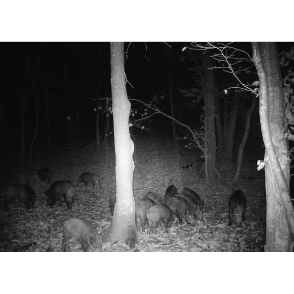 CAMERA DE VANATOARE 4G CU TRANSMISIE FOTO SI VIDEO