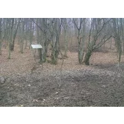 CAMERA DE VANATOARE 4G CU TRANSMISIE FOTO SI VIDEO