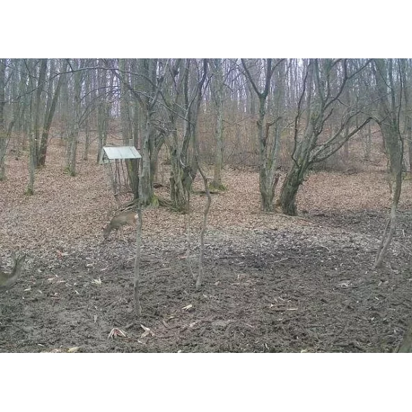 CAMERA DE VANATOARE 4G CU TRANSMISIE FOTO SI VIDEO